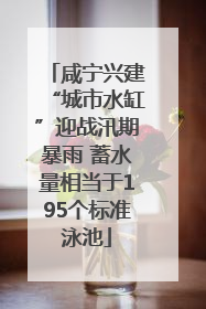 咸宁兴建“城市水缸”迎战汛期暴雨 蓄水量相当于195个标准泳池