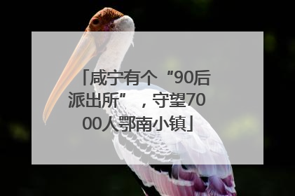 咸宁有个“90后派出所”，守望7000人鄂南小镇