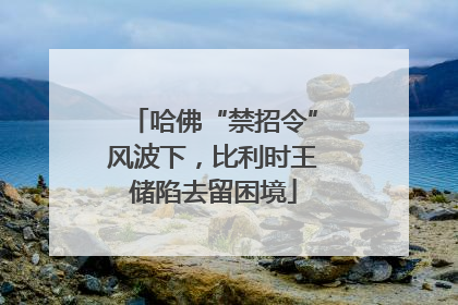 哈佛“禁招令”风波下，比利时王储陷去留困境