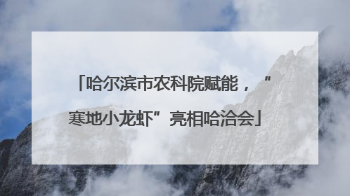 哈尔滨市农科院赋能，“寒地小龙虾”亮相哈洽会