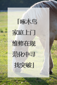啄木鸟家庭上门维修在规范化中寻找突破