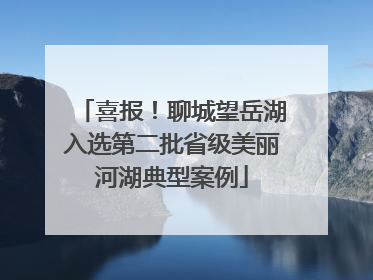 喜报！聊城望岳湖入选第二批省级美丽河湖典型案例
