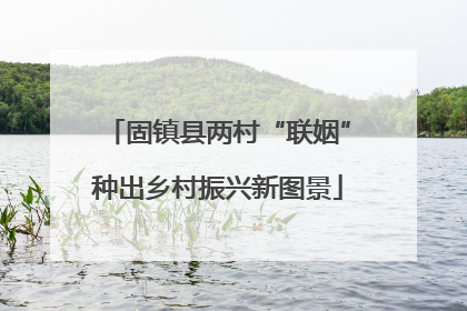 固镇县两村“联姻”种出乡村振兴新图景