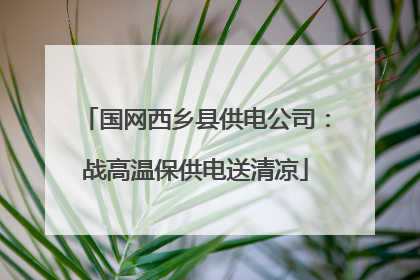 国网西乡县供电公司：战高温保供电送清凉