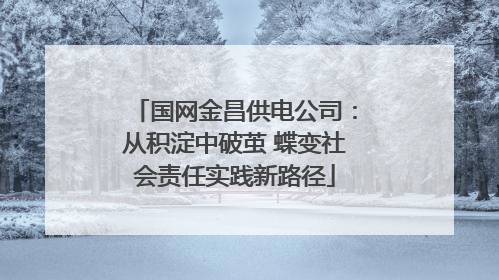 国网金昌供电公司：从积淀中破茧 蝶变社会责任实践新路径