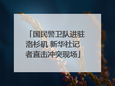 国民警卫队进驻洛杉矶 新华社记者直击冲突现场