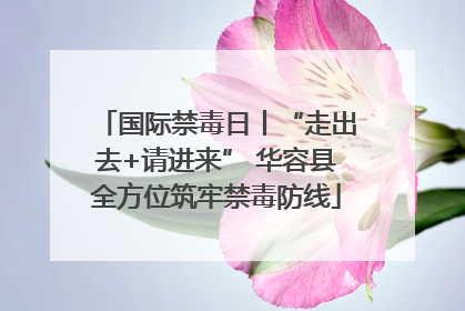 国际禁毒日丨“走出去+请进来” 华容县全方位筑牢禁毒防线