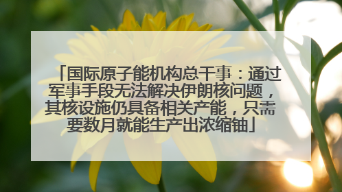 国际原子能机构总干事：通过军事手段无法解决伊朗核问题，其核设施仍具备相关产能，只需要数月就能生产出浓缩铀