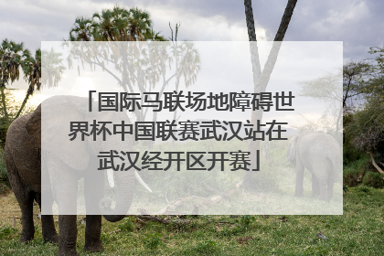 国际马联场地障碍世界杯中国联赛武汉站在武汉经开区开赛