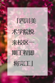 四川美术学院悦来校区一期工程即将完工