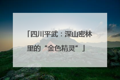 四川平武：深山密林里的“金色精灵”