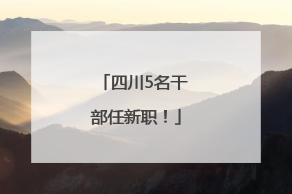 四川5名干部任新职！