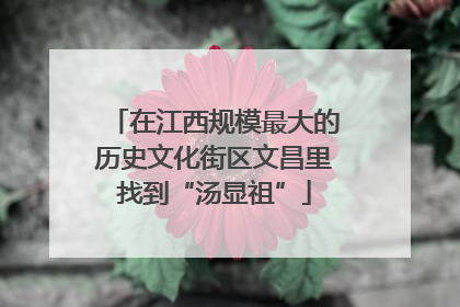 在江西规模最大的历史文化街区文昌里找到“汤显祖”