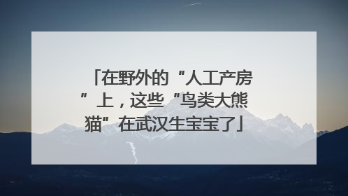 在野外的“人工产房”上，这些“鸟类大熊猫”在武汉生宝宝了