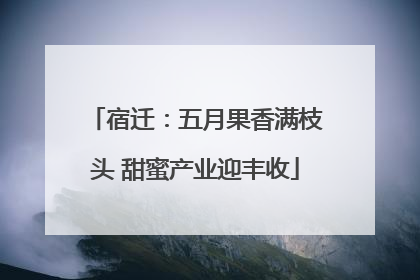 宿迁：五月果香满枝头 甜蜜产业迎丰收