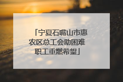 宁夏石嘴山市惠农区总工会助困难职工重燃希望