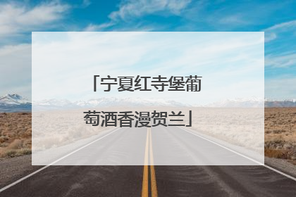 宁夏红寺堡葡萄酒香漫贺兰