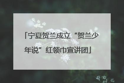 宁夏贺兰成立“贺兰少年说”红领巾宣讲团