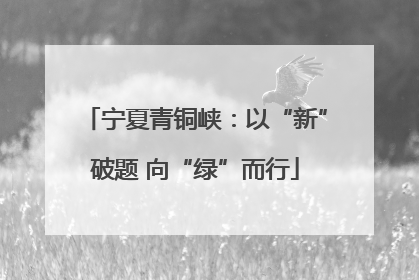 宁夏青铜峡：以“新”破题 向“绿”而行