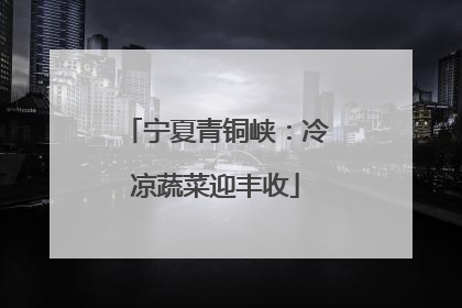 宁夏青铜峡：冷凉蔬菜迎丰收