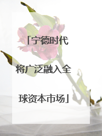 宁德时代 将广泛融入全球资本市场