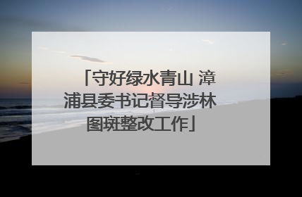 守好绿水青山 漳浦县委书记督导涉林图斑整改工作