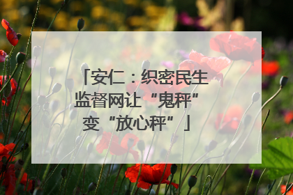 安仁：织密民生监督网让“鬼秤”变“放心秤”