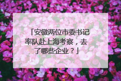 安徽两位市委书记率队赴上海考察，去了哪些企业？