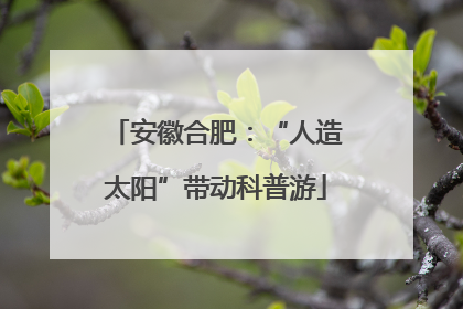 安徽合肥：“人造太阳”带动科普游
