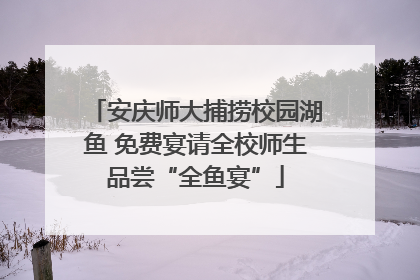 安庆师大捕捞校园湖鱼 免费宴请全校师生品尝“全鱼宴”