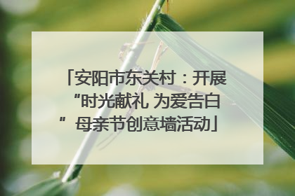 安阳市东关村：开展“时光献礼 为爱告白”母亲节创意墙活动