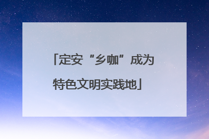 定安“乡咖”成为特色文明实践地