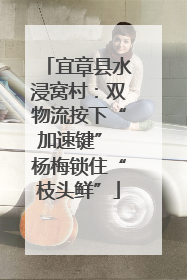 宜章县水浸窝村：双物流按下“加速键” 杨梅锁住“枝头鲜”