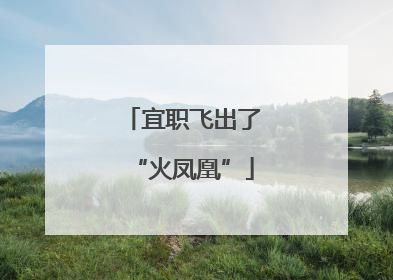 宜职飞出了“火凤凰”
