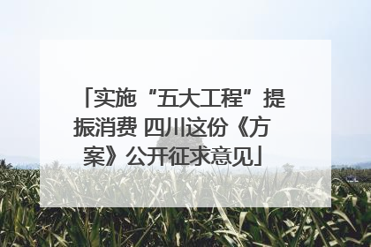 实施“五大工程”提振消费 四川这份《方案》公开征求意见
