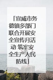 宣威市务德镇多部门联合开展安全宣传月活动 筑牢安全生产人民防线