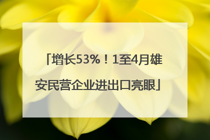 增长53%！1至4月雄安民营企业进出口亮眼