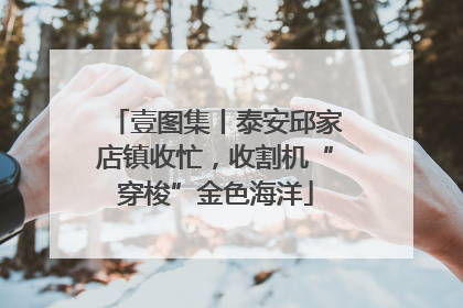 壹图集丨泰安邱家店镇收忙，收割机“穿梭”金色海洋