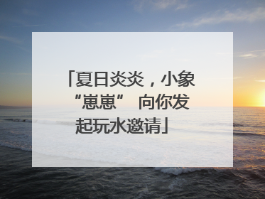 夏日炎炎，小象“崽崽” 向你发起玩水邀请