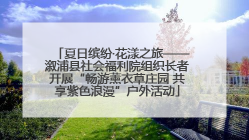 夏日缤纷·花漾之旅——溆浦县社会福利院组织长者开展“畅游薰衣草庄园 共享紫色浪漫”户外活动