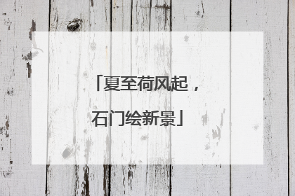 夏至荷风起，石门绘新景