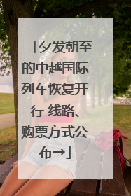 夕发朝至的中越国际列车恢复开行 线路、购票方式公布→