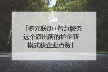 多元联动+智慧服务 这个派出所的护企新模式获企业点赞