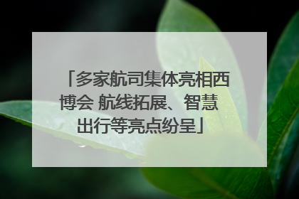 多家航司集体亮相西博会 航线拓展、智慧出行等亮点纷呈