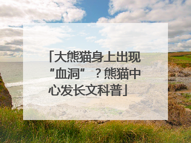 大熊猫身上出现“血洞”？熊猫中心发长文科普