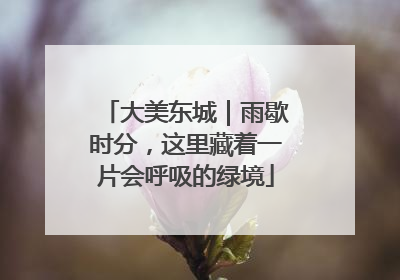 大美东城｜雨歇时分，这里藏着一片会呼吸的绿境