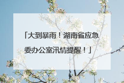 大到暴雨！湖南省应急委办公室汛情提醒！