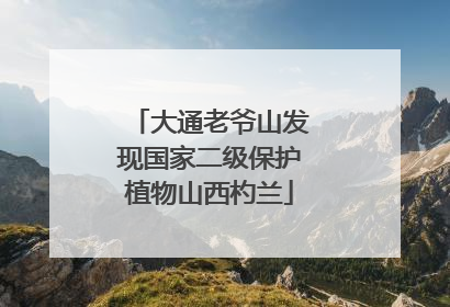 大通老爷山发现国家二级保护植物山西杓兰