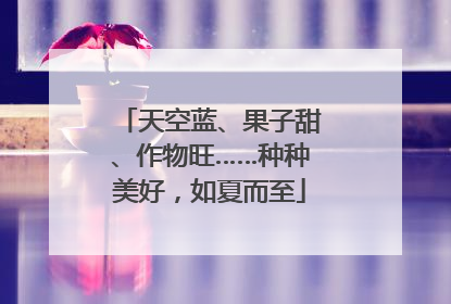 天空蓝、果子甜、作物旺……种种美好，如夏而至