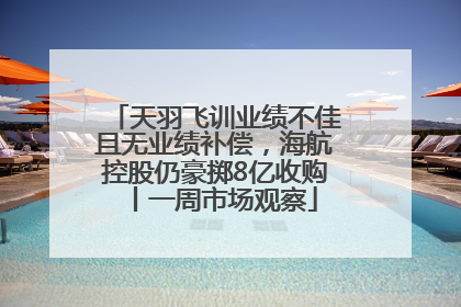 天羽飞训业绩不佳且无业绩补偿，海航控股仍豪掷8亿收购丨一周市场观察